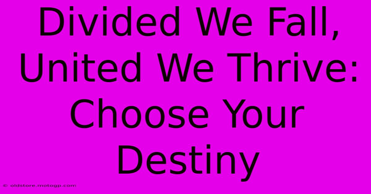 Divided We Fall, United We Thrive: Choose Your Destiny