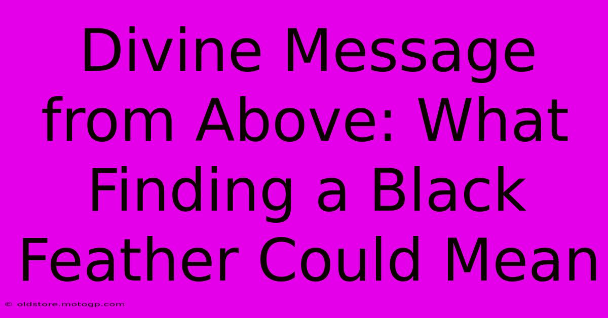 Divine Message From Above: What Finding A Black Feather Could Mean