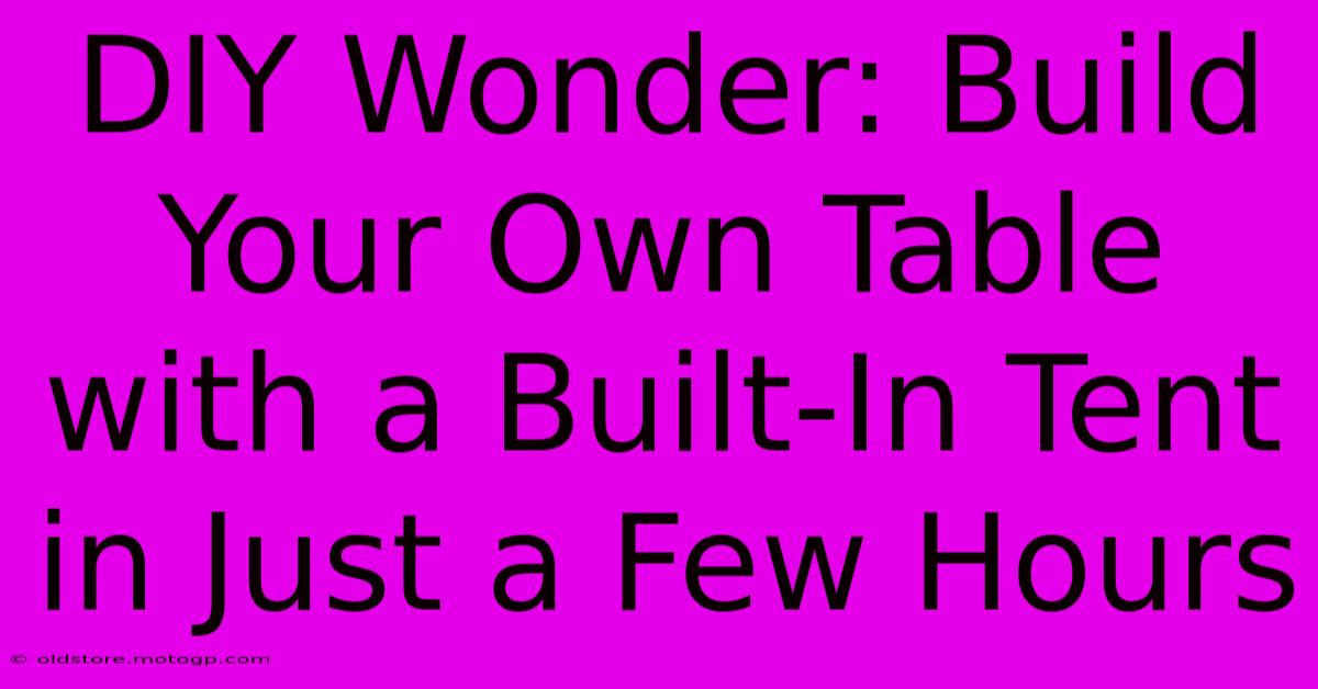 DIY Wonder: Build Your Own Table With A Built-In Tent In Just A Few Hours