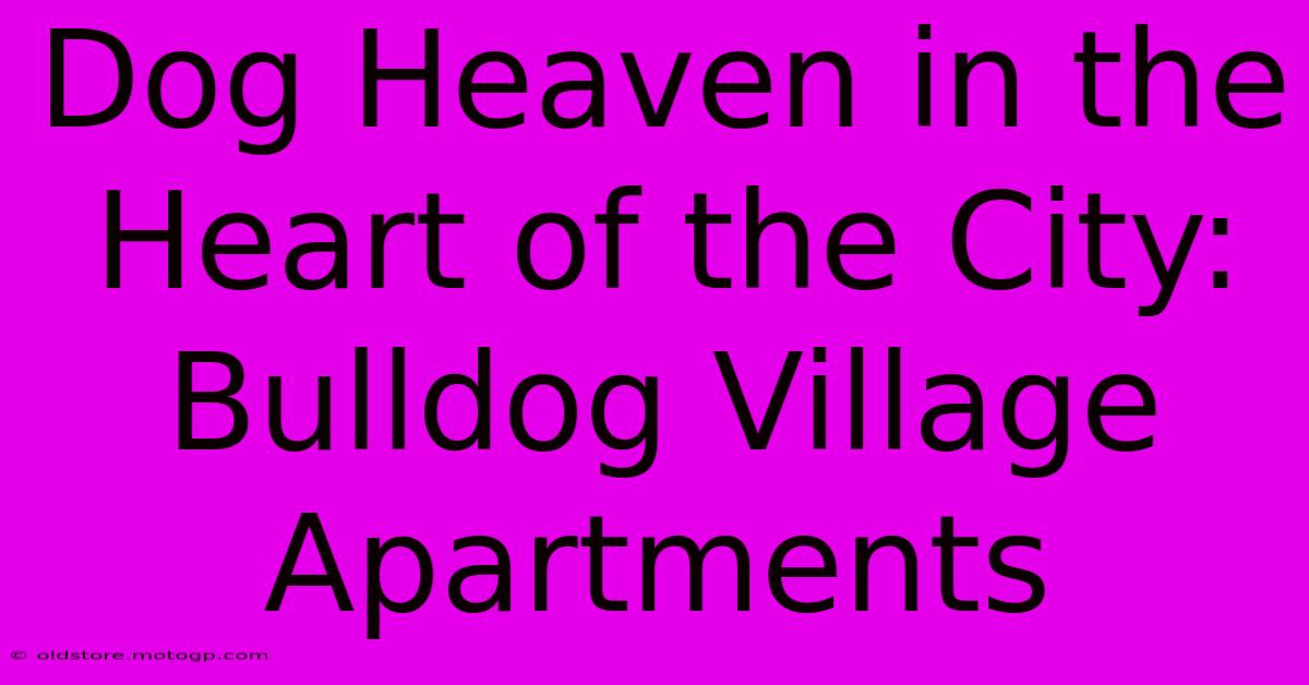 Dog Heaven In The Heart Of The City: Bulldog Village Apartments