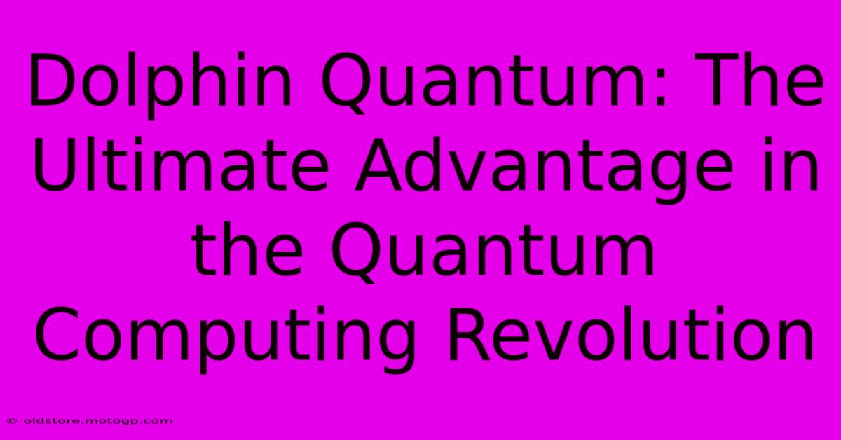 Dolphin Quantum: The Ultimate Advantage In The Quantum Computing Revolution