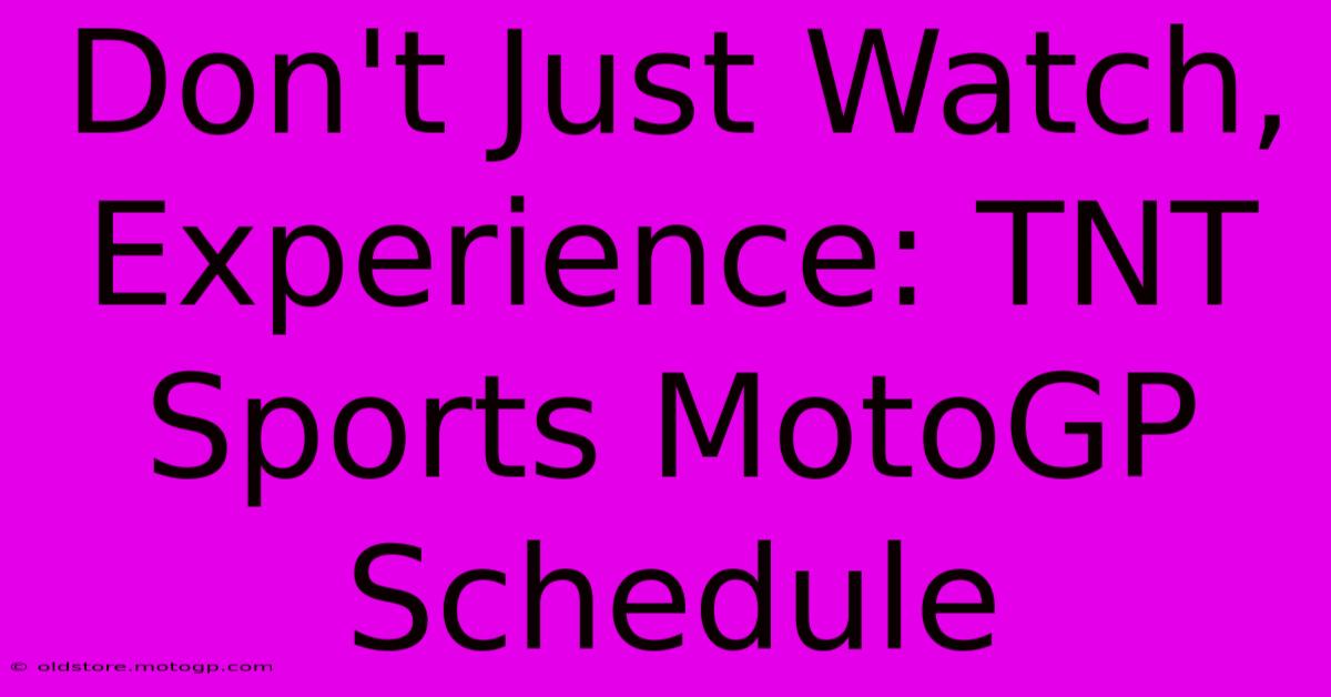 Don't Just Watch, Experience: TNT Sports MotoGP Schedule