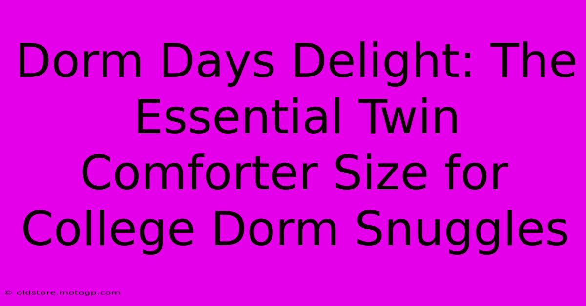 Dorm Days Delight: The Essential Twin Comforter Size For College Dorm Snuggles