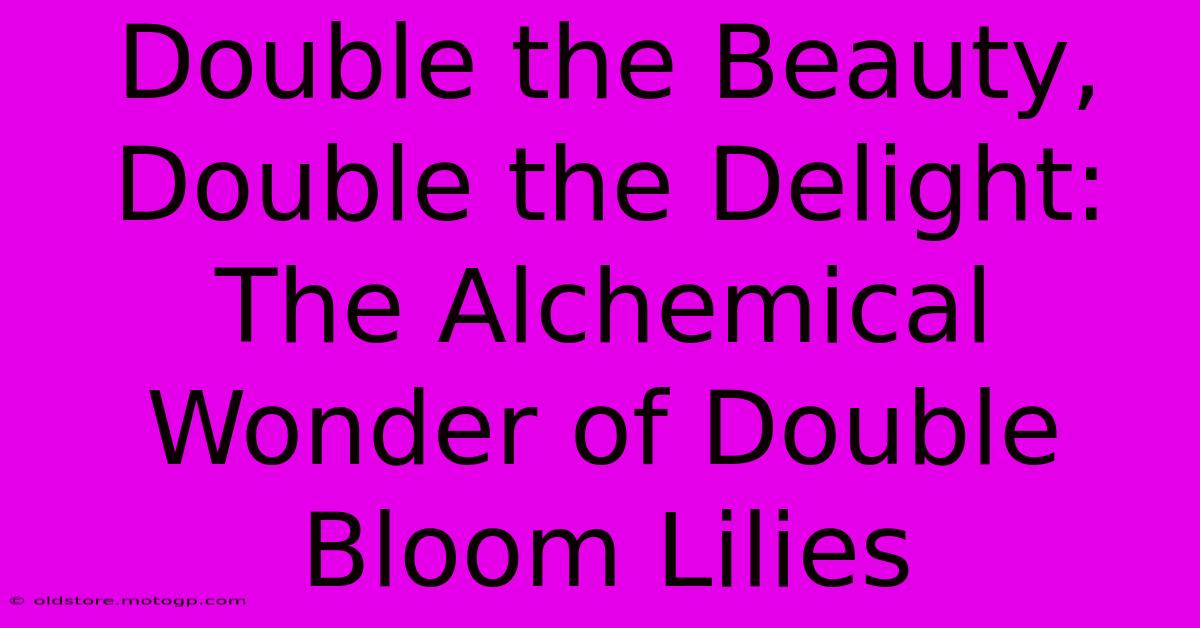 Double The Beauty, Double The Delight: The Alchemical Wonder Of Double Bloom Lilies