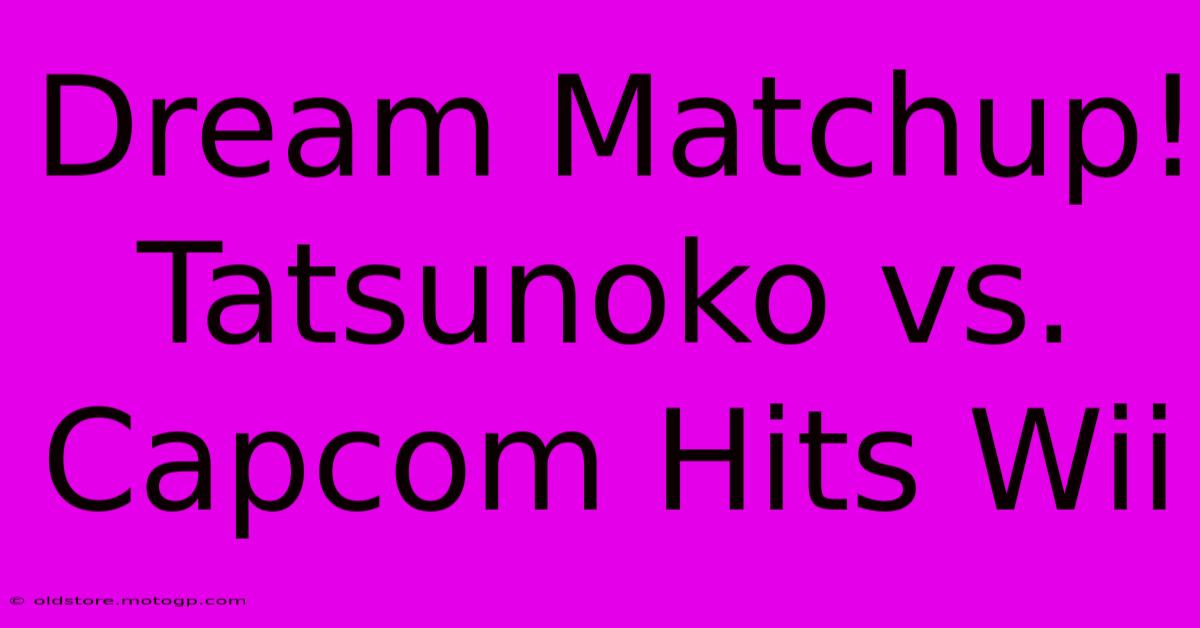 Dream Matchup! Tatsunoko Vs. Capcom Hits Wii