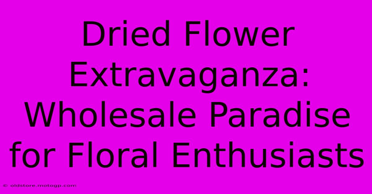 Dried Flower Extravaganza: Wholesale Paradise For Floral Enthusiasts