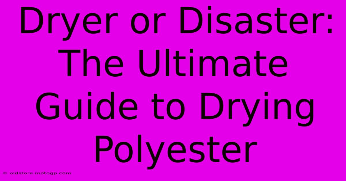 Dryer Or Disaster: The Ultimate Guide To Drying Polyester