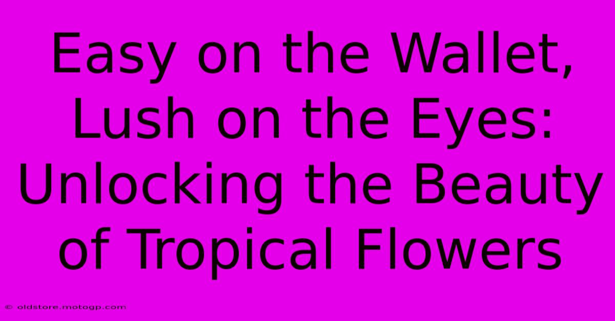 Easy On The Wallet, Lush On The Eyes: Unlocking The Beauty Of Tropical Flowers