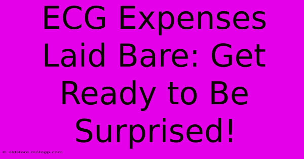 ECG Expenses Laid Bare: Get Ready To Be Surprised!