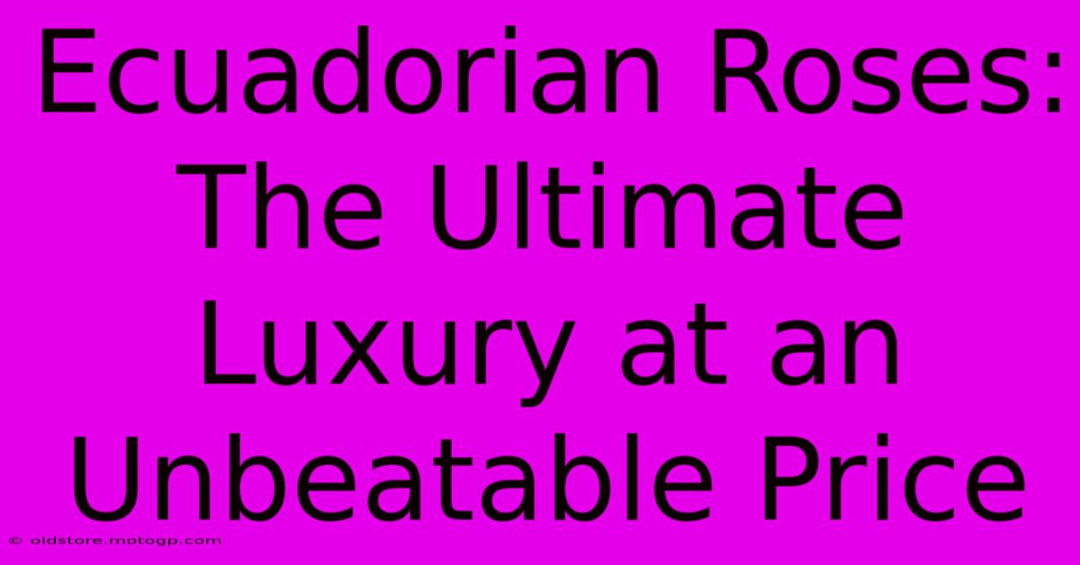 Ecuadorian Roses: The Ultimate Luxury At An Unbeatable Price