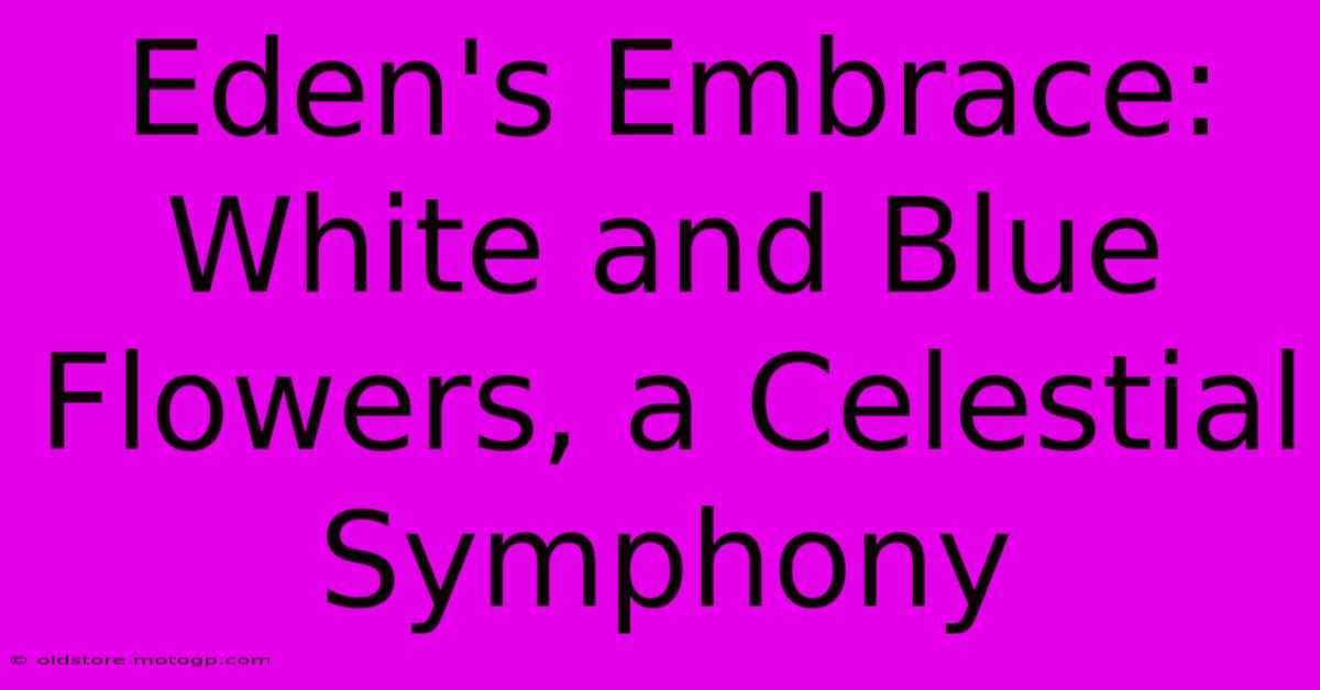 Eden's Embrace: White And Blue Flowers, A Celestial Symphony