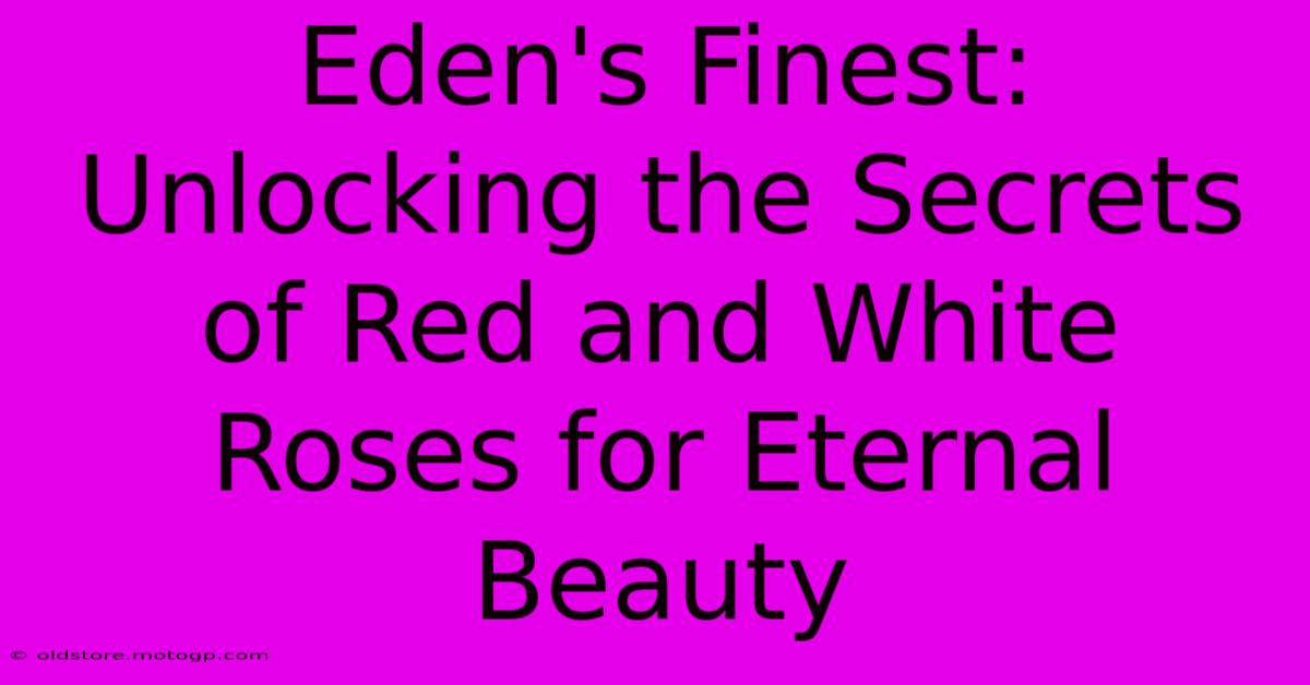 Eden's Finest: Unlocking The Secrets Of Red And White Roses For Eternal Beauty