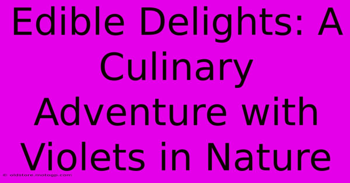 Edible Delights: A Culinary Adventure With Violets In Nature