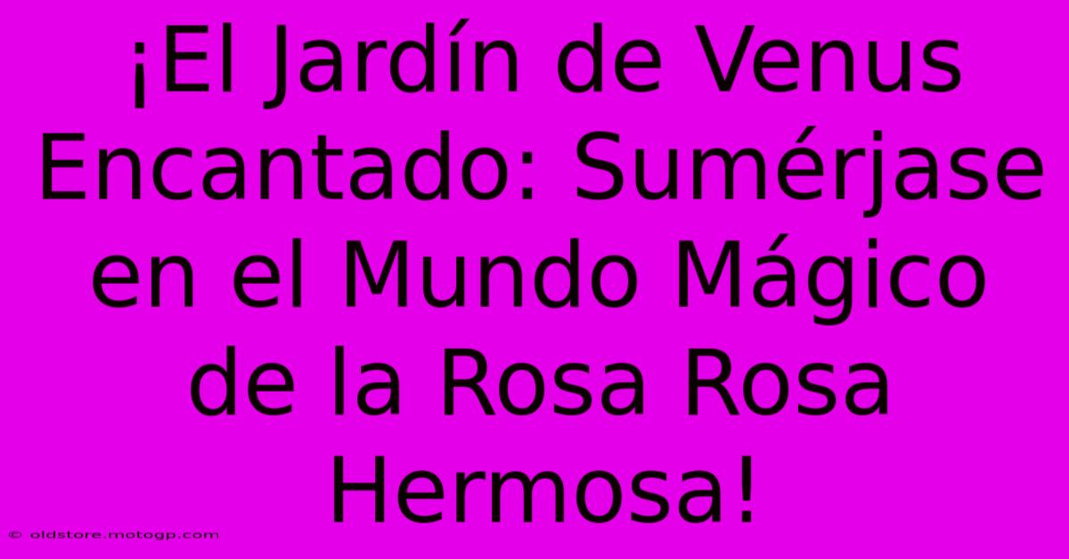 ¡El Jardín De Venus Encantado: Sumérjase En El Mundo Mágico De La Rosa Rosa Hermosa!