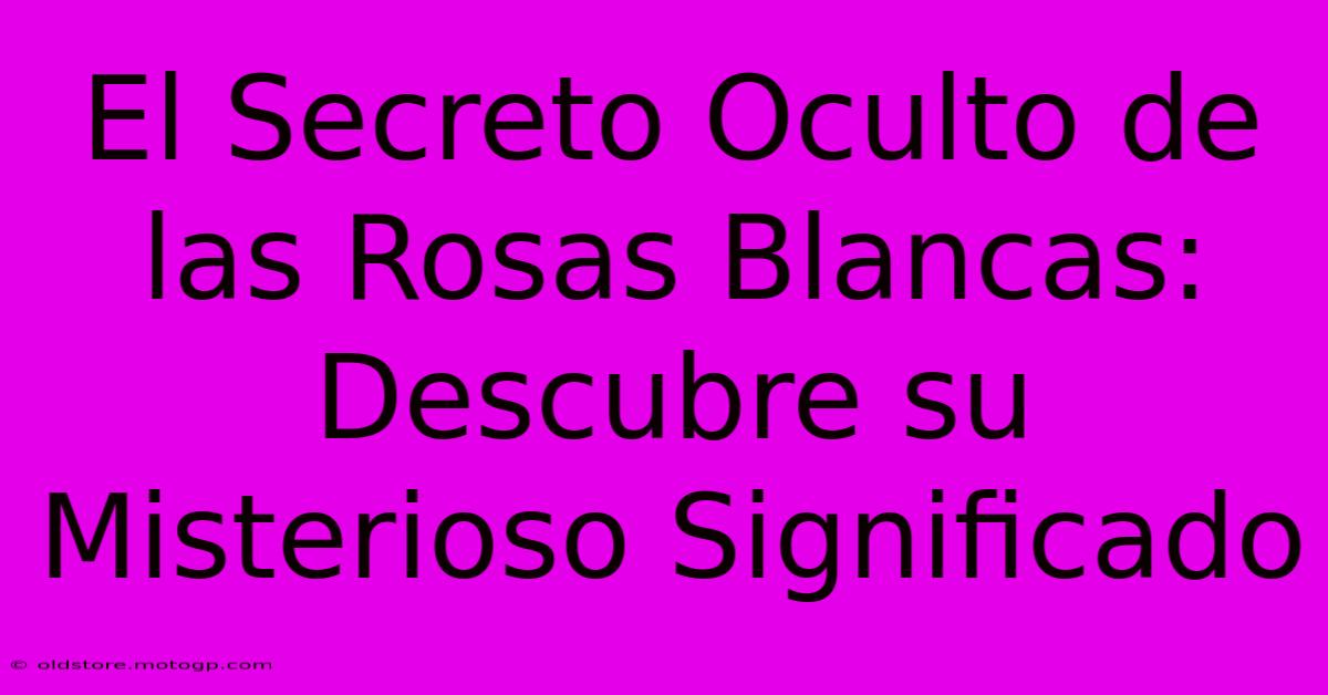 El Secreto Oculto De Las Rosas Blancas: Descubre Su Misterioso Significado