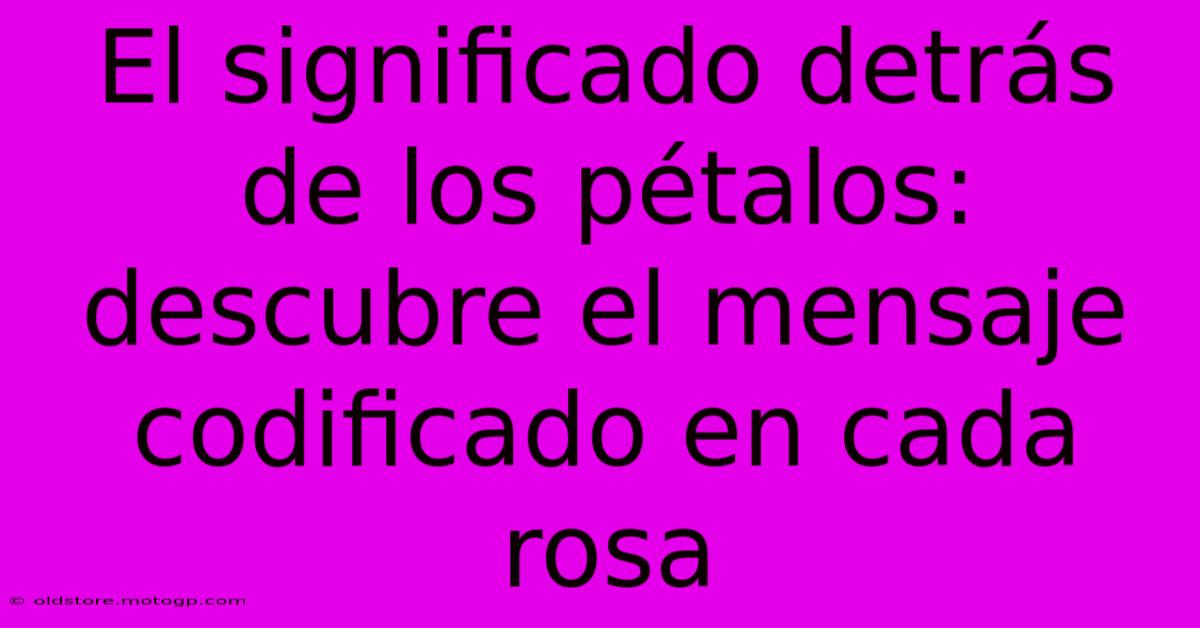 El Significado Detrás De Los Pétalos: Descubre El Mensaje Codificado En Cada Rosa