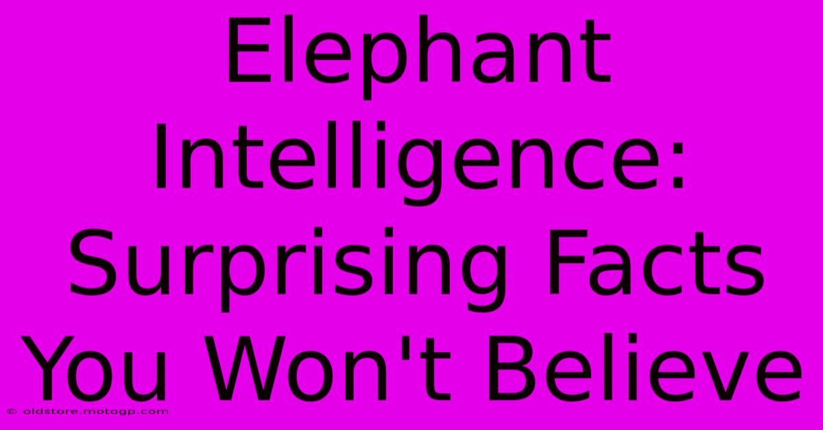 Elephant Intelligence: Surprising Facts You Won't Believe