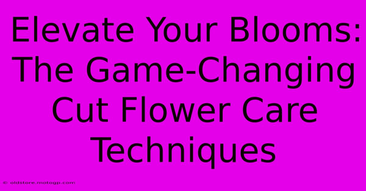 Elevate Your Blooms: The Game-Changing Cut Flower Care Techniques