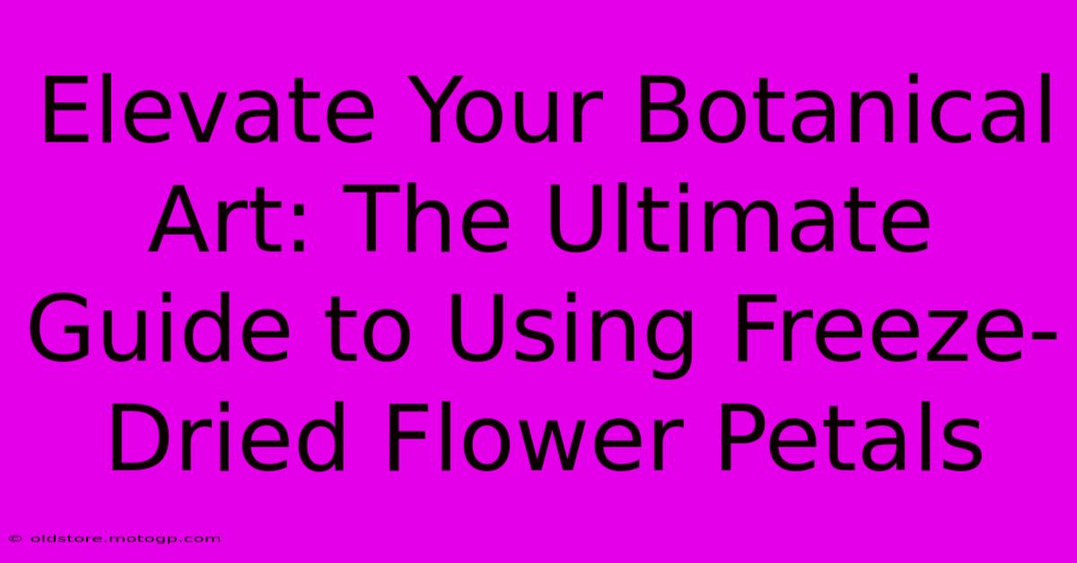 Elevate Your Botanical Art: The Ultimate Guide To Using Freeze-Dried Flower Petals