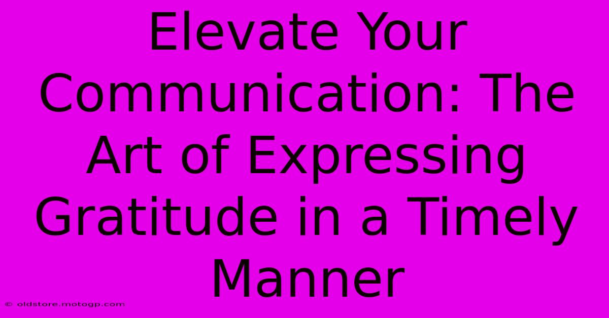 Elevate Your Communication: The Art Of Expressing Gratitude In A Timely Manner