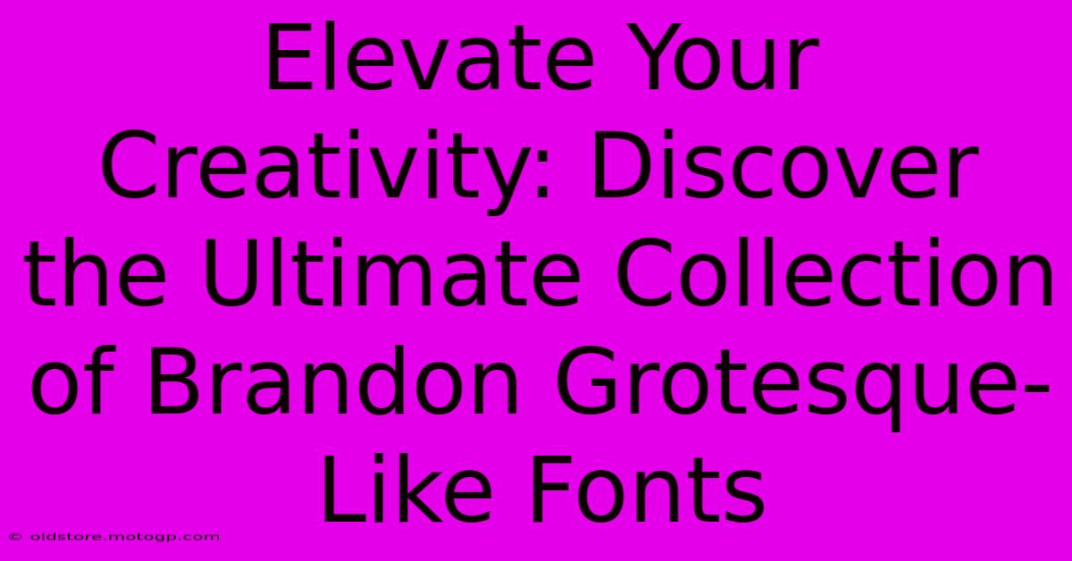 Elevate Your Creativity: Discover The Ultimate Collection Of Brandon Grotesque-Like Fonts