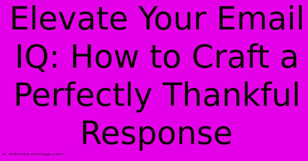 Elevate Your Email IQ: How To Craft A Perfectly Thankful Response