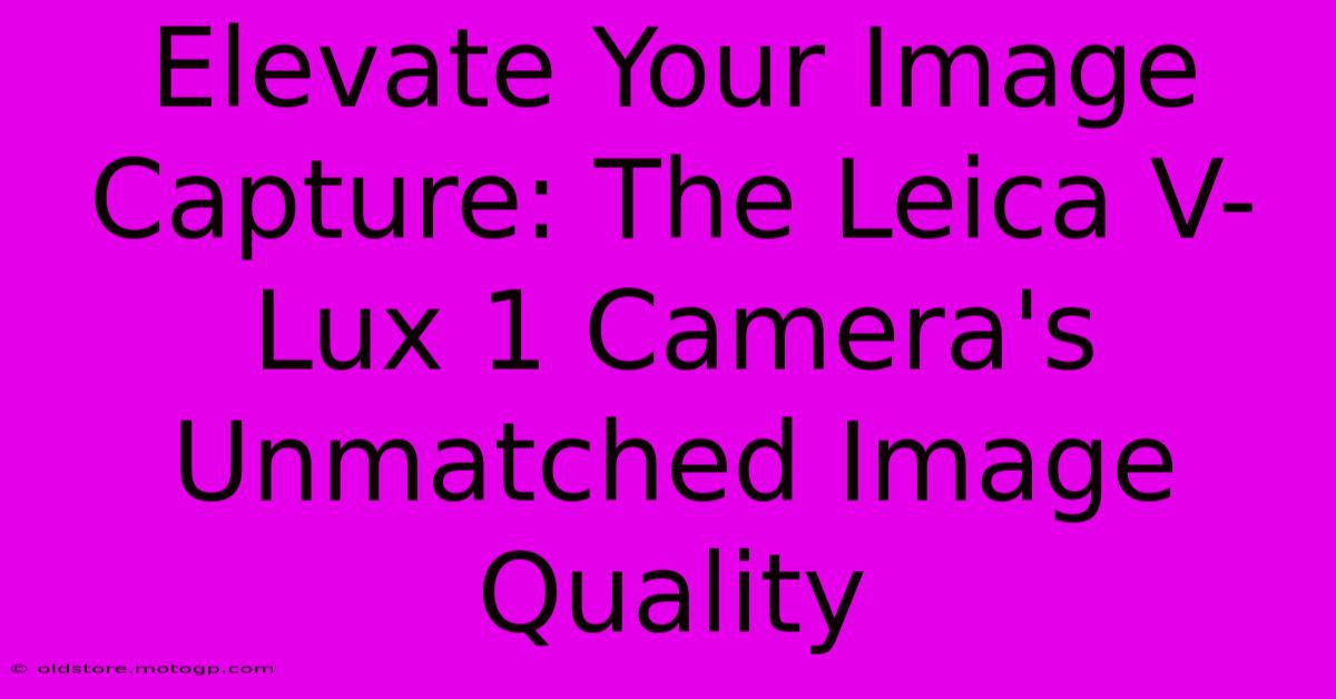 Elevate Your Image Capture: The Leica V-Lux 1 Camera's Unmatched Image Quality