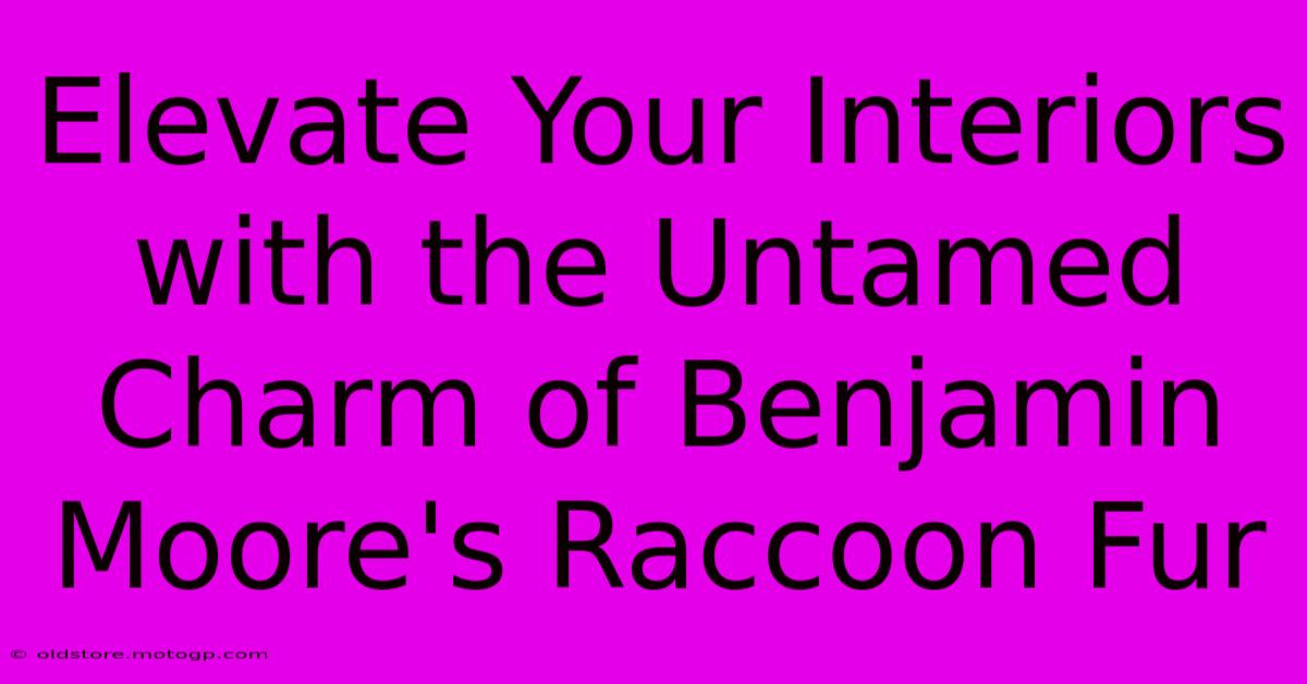 Elevate Your Interiors With The Untamed Charm Of Benjamin Moore's Raccoon Fur