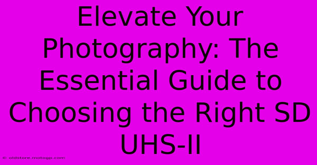 Elevate Your Photography: The Essential Guide To Choosing The Right SD UHS-II