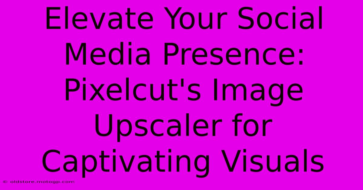 Elevate Your Social Media Presence: Pixelcut's Image Upscaler For Captivating Visuals