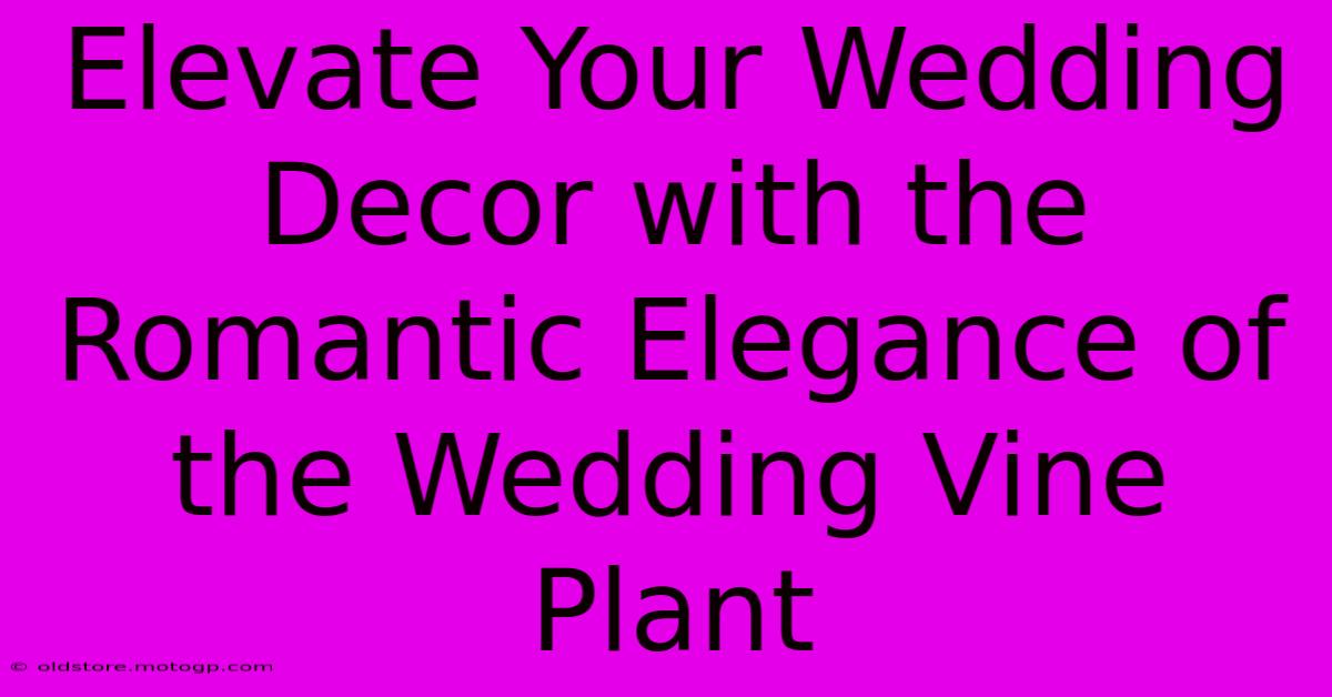 Elevate Your Wedding Decor With The Romantic Elegance Of The Wedding Vine Plant