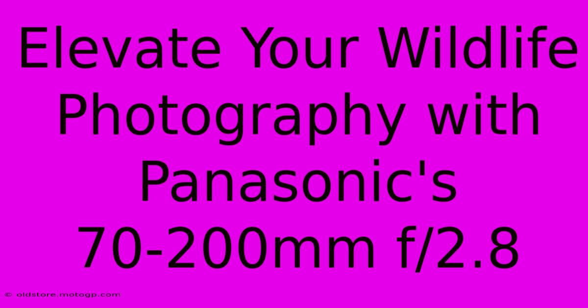 Elevate Your Wildlife Photography With Panasonic's 70-200mm F/2.8