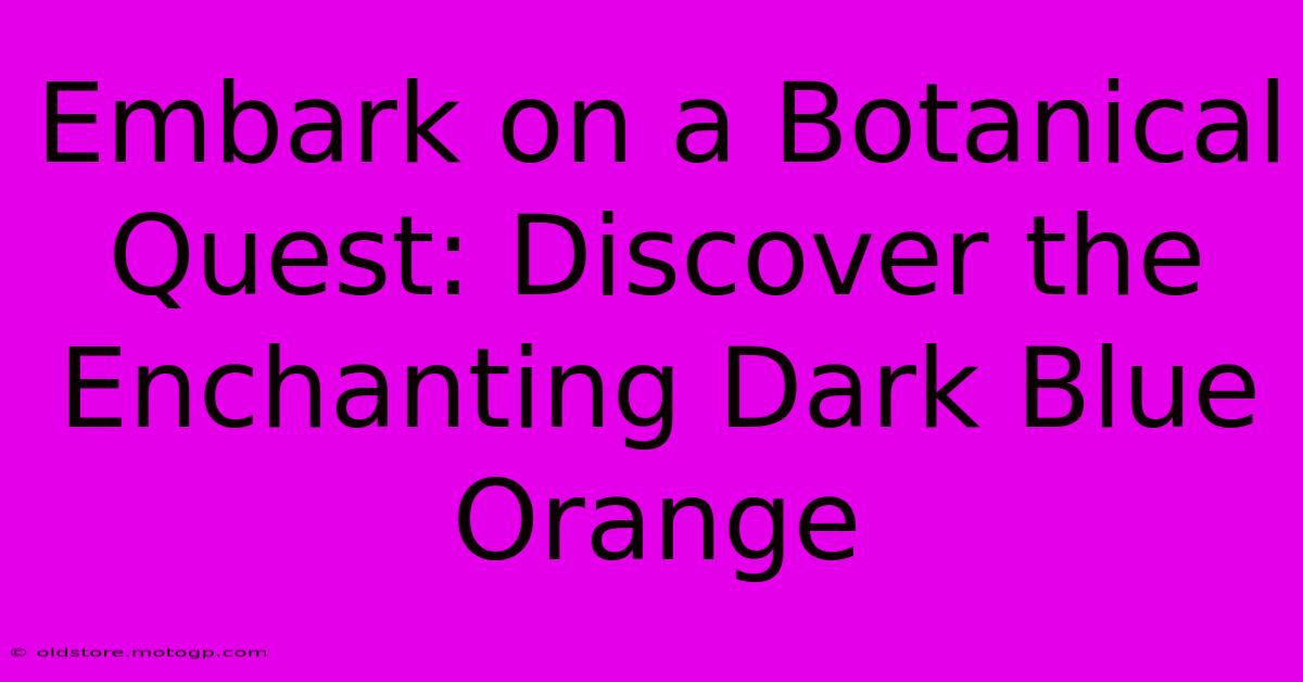 Embark On A Botanical Quest: Discover The Enchanting Dark Blue Orange