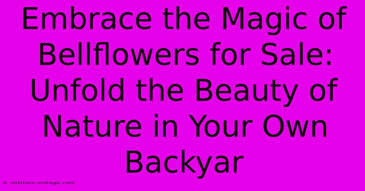 Embrace The Magic Of Bellflowers For Sale: Unfold The Beauty Of Nature In Your Own Backyar