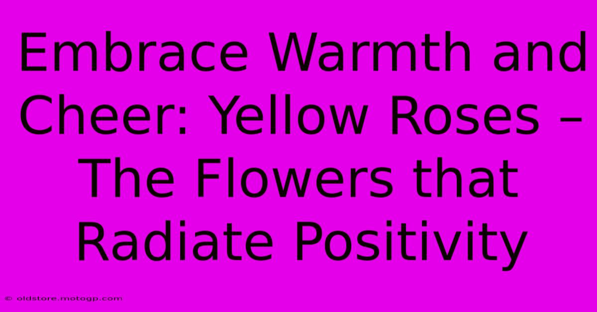 Embrace Warmth And Cheer: Yellow Roses – The Flowers That Radiate Positivity