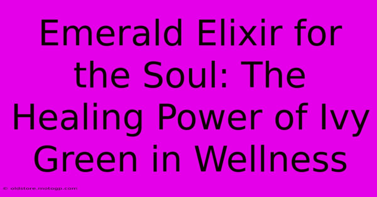 Emerald Elixir For The Soul: The Healing Power Of Ivy Green In Wellness