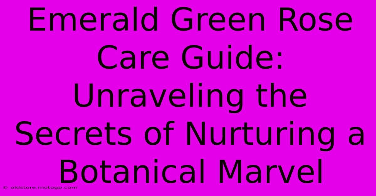 Emerald Green Rose Care Guide: Unraveling The Secrets Of Nurturing A Botanical Marvel