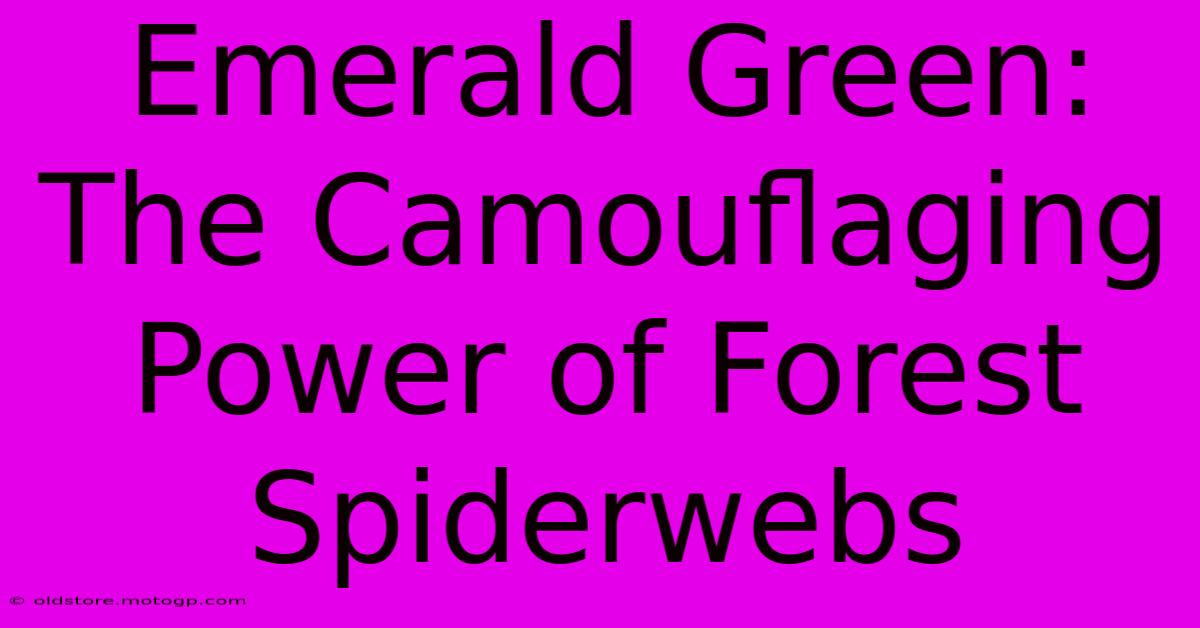 Emerald Green: The Camouflaging Power Of Forest Spiderwebs