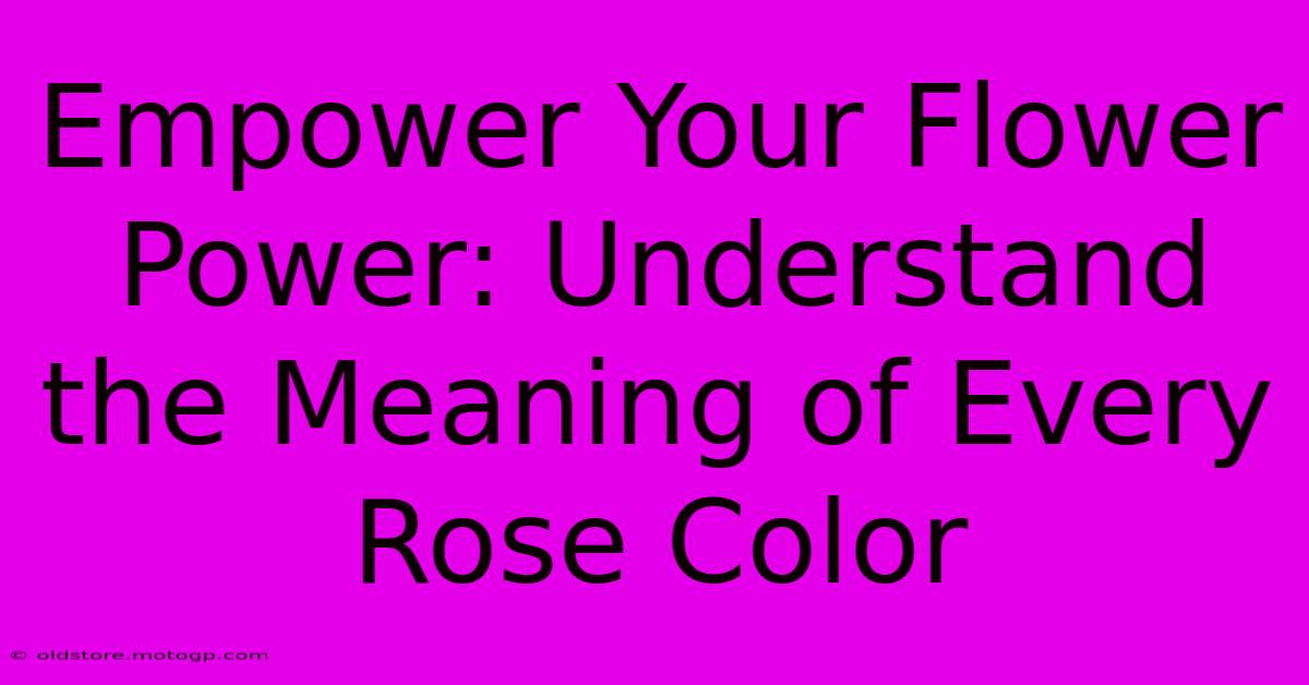 Empower Your Flower Power: Understand The Meaning Of Every Rose Color