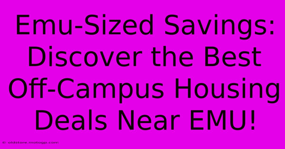 Emu-Sized Savings: Discover The Best Off-Campus Housing Deals Near EMU!