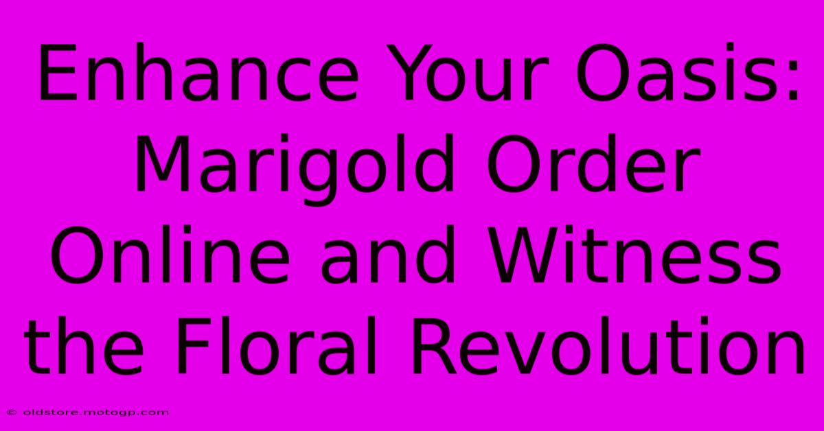 Enhance Your Oasis: Marigold Order Online And Witness The Floral Revolution