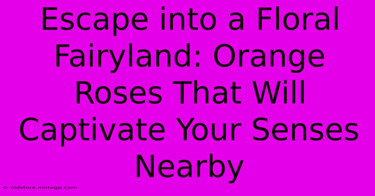 Escape Into A Floral Fairyland: Orange Roses That Will Captivate Your Senses Nearby