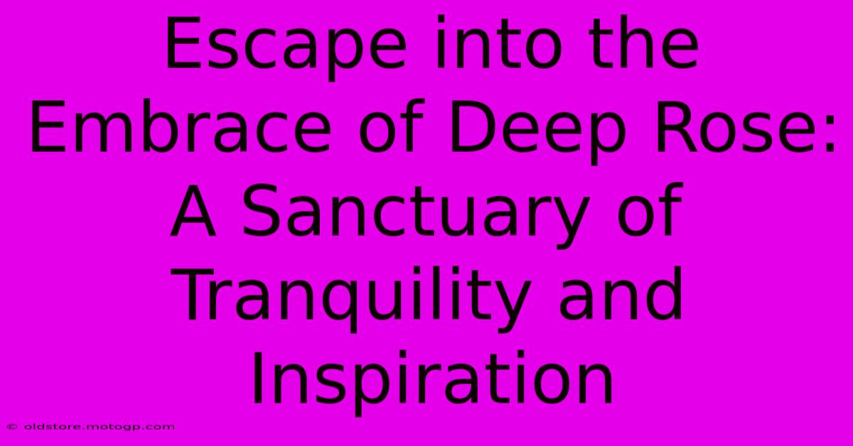 Escape Into The Embrace Of Deep Rose: A Sanctuary Of Tranquility And Inspiration