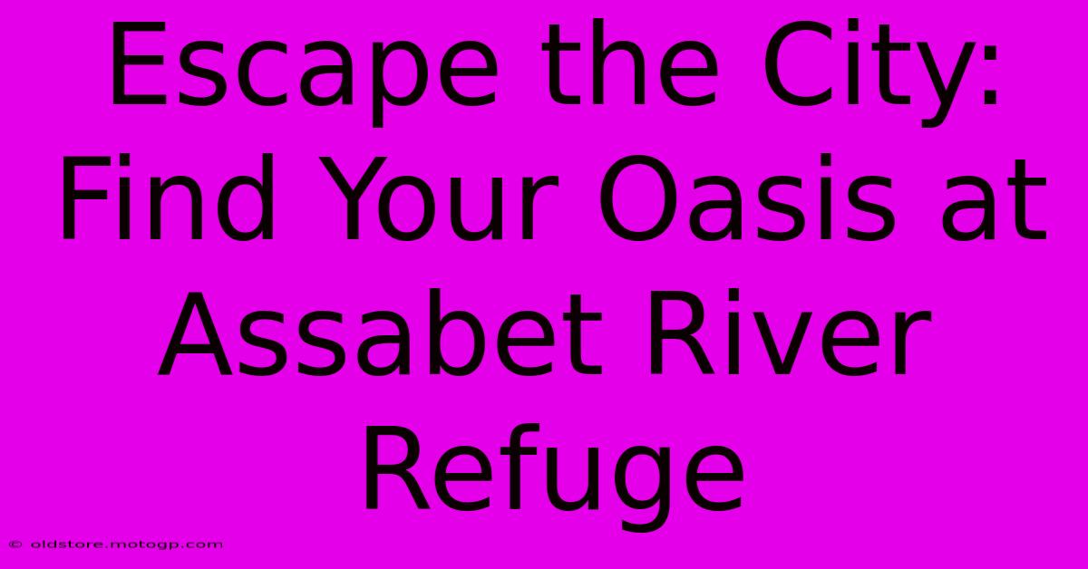 Escape The City: Find Your Oasis At Assabet River Refuge