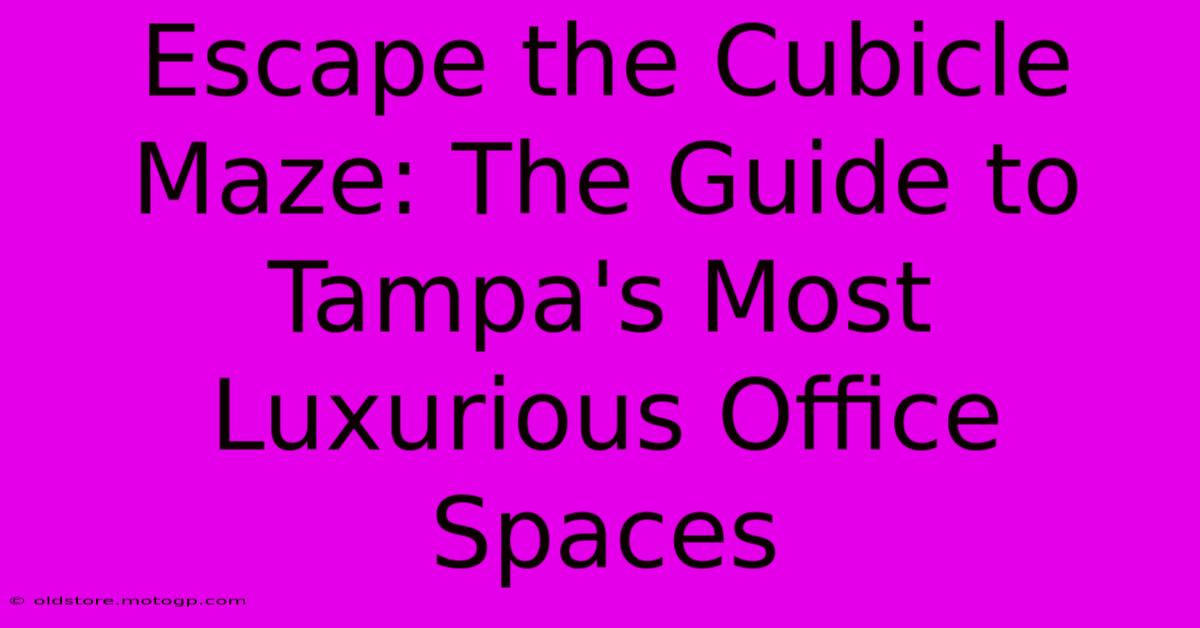 Escape The Cubicle Maze: The Guide To Tampa's Most Luxurious Office Spaces