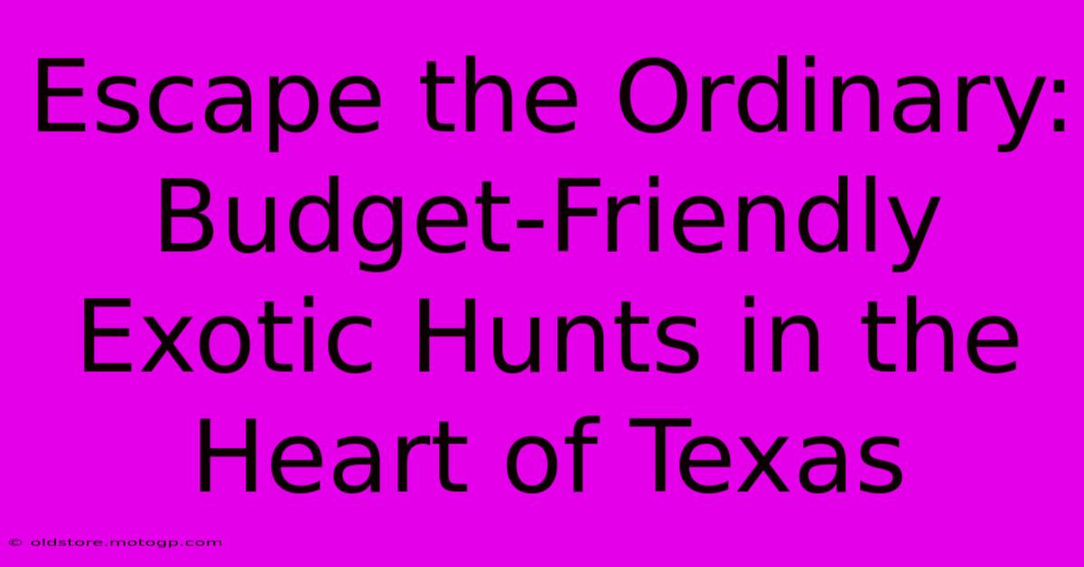 Escape The Ordinary: Budget-Friendly Exotic Hunts In The Heart Of Texas