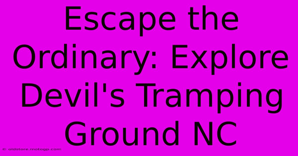 Escape The Ordinary: Explore Devil's Tramping Ground NC