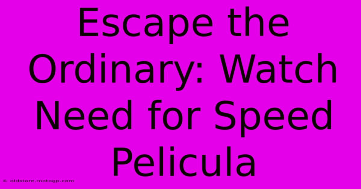 Escape The Ordinary: Watch Need For Speed Pelicula