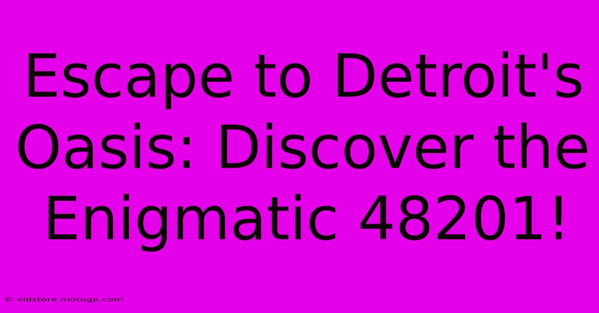 Escape To Detroit's Oasis: Discover The Enigmatic 48201!