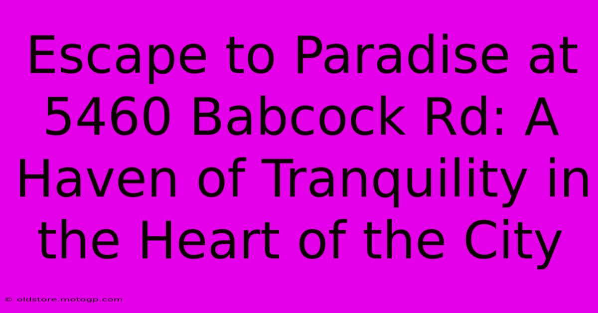 Escape To Paradise At 5460 Babcock Rd: A Haven Of Tranquility In The Heart Of The City